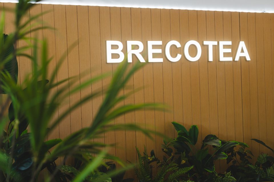 Illuminated Brecotea wordmark on an oak slat wall